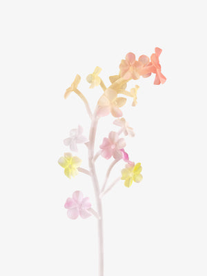RAINBOW FORGET-ME-NOT STEM