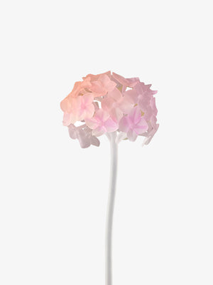 HYDRANGEA STEM