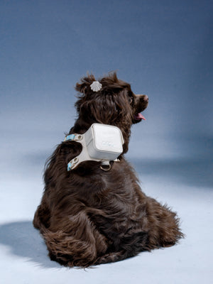 SAINT ISLAND LEATHER PET HARNESS