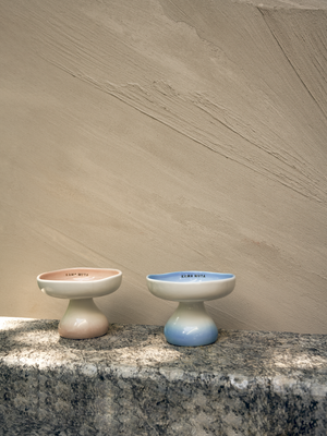 OMBRÉ CERAMIC ELEVATED PET BOWL