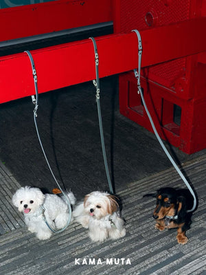 CONVERTIBLE LEATHER DOG LEASH