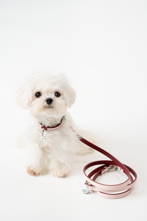 CONVERTIBLE LEATHER DOG LEASH