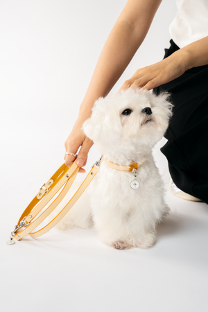 MOP CHARM LEATHER DOG COLLAR