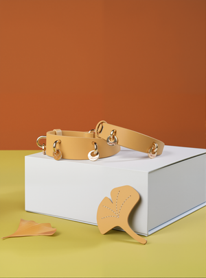 NORDIC AUTUMN LEATHER PET COLLAR