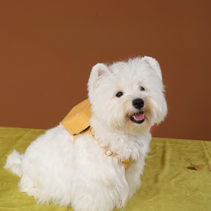 NORDIC AUTUMN LEATHER PET HARNESS