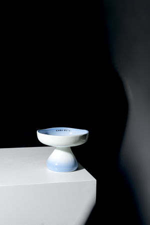 OMBRÉ CERAMIC ELEVATED PET BOWL