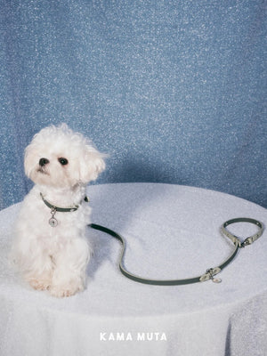 CONVERTIBLE LEATHER DOG LEASH