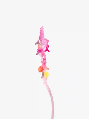 livarié flower LARKSPUR STEM | TROVE & TONE
