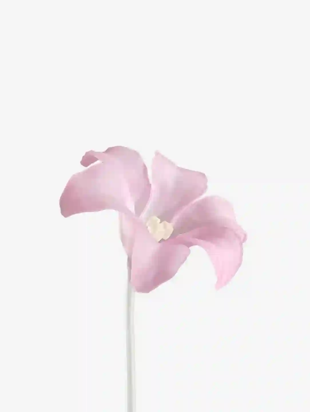 livarié flower LILY STEM | TROVE & TONE
