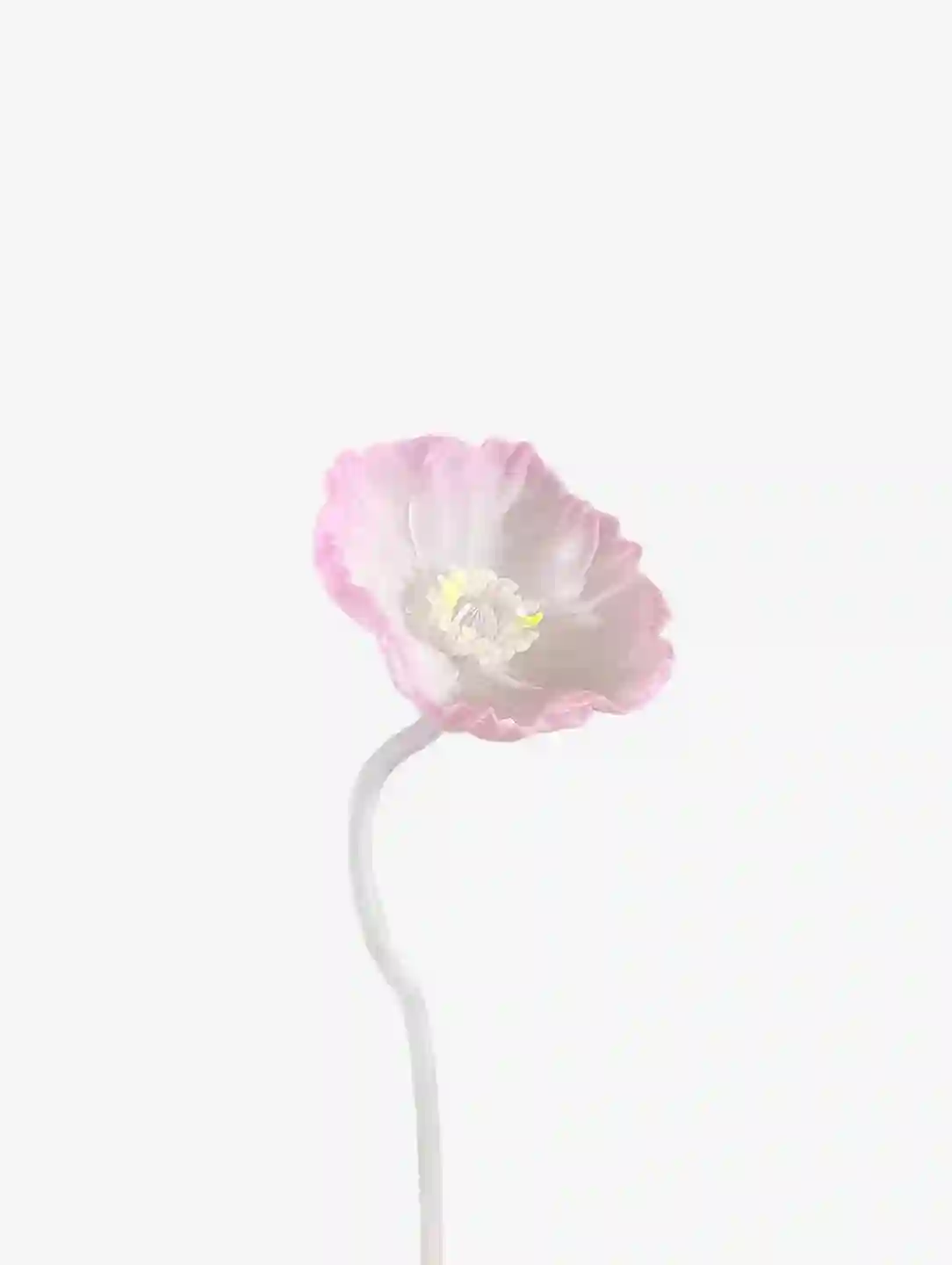 livarié flower POPPY STEM | TROVE & TONE