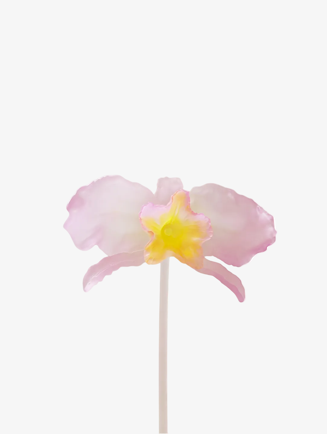 livarié flower CATTLEYA STEM | TROVE & TONE