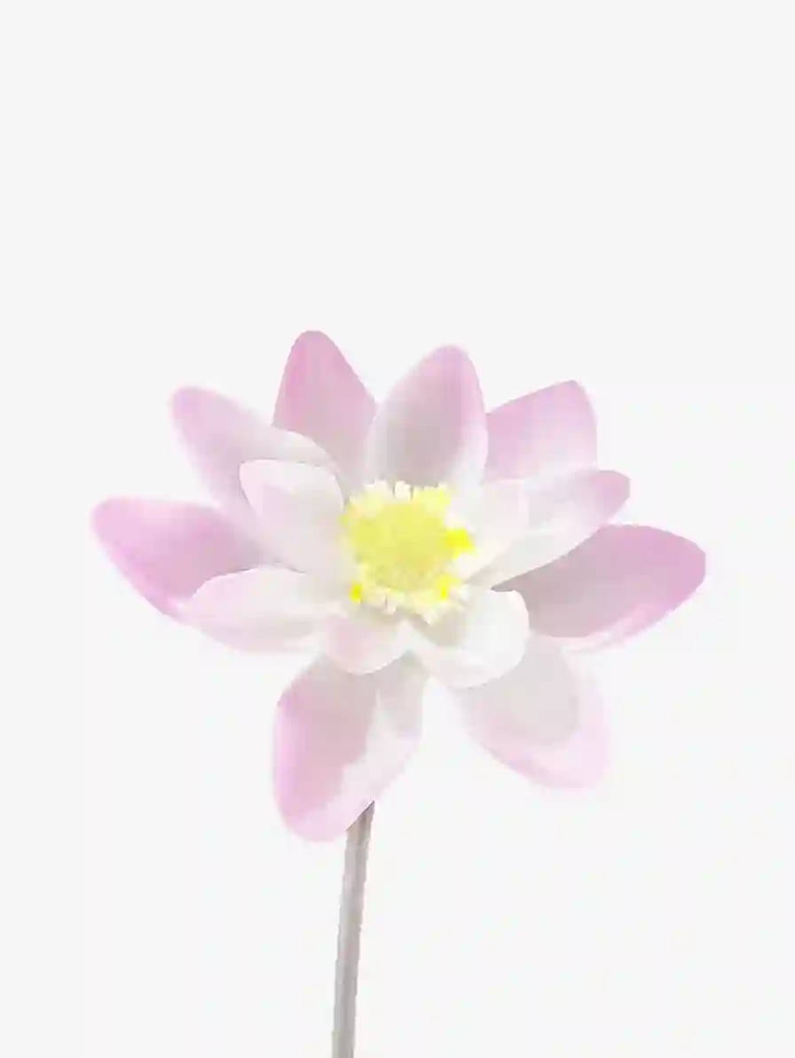 livarié flower LOTUS STEM | TROVE & TONE