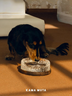 CRYSTAL PET BOWL