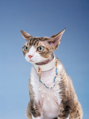 SAINT ISLAND LEATHER PET COLLAR