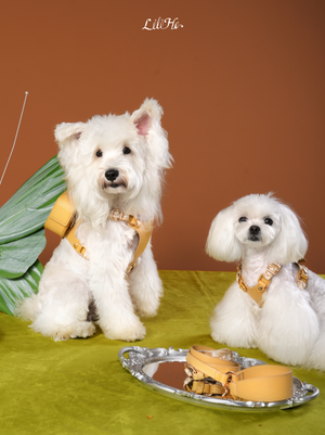 NORDIC AUTUMN LEATHER PET HARNESS
