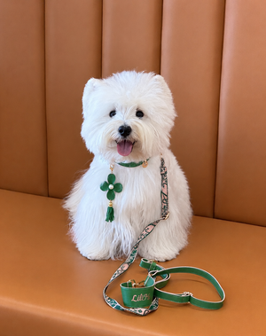 GREEN WONDERLAND LAMBSKIN PET COLLAR