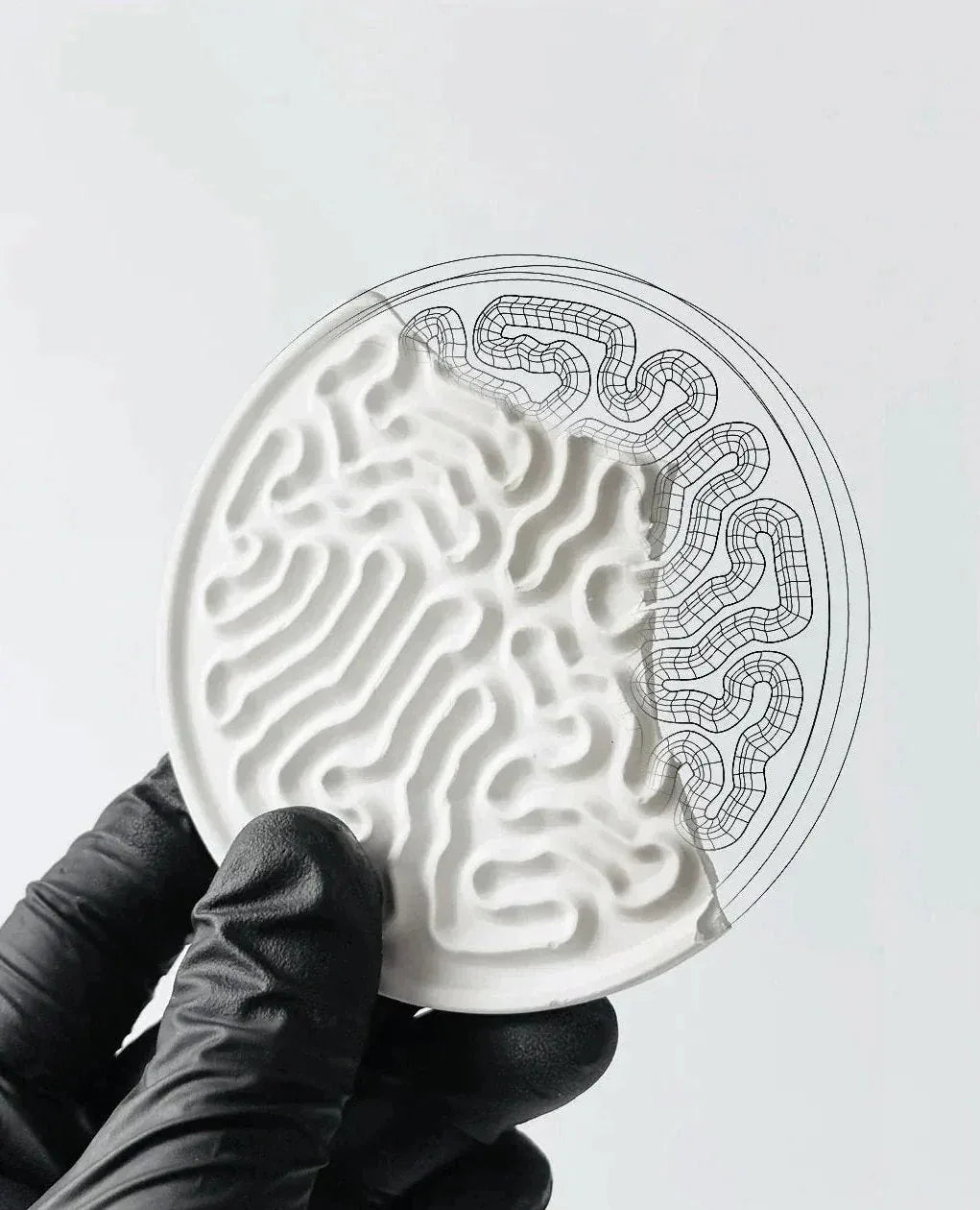 StudioRan CORAL 02 ROUND CERAMIC COASTERS | TROVE & TONE