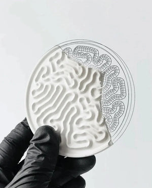 StudioRan CORAL 02 ROUND CERAMIC COASTERS | TROVE & TONE