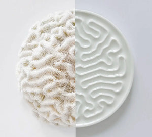 StudioRan CORAL 02 ROUND CERAMIC COASTERS | TROVE & TONE