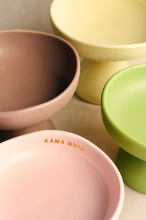 PASTEL CERAMIC ELEVATED PET BOWL