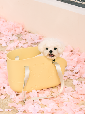 MINI CLASSIC PET TOTE BAG
