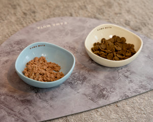 MINI CURVED CERAMIC PET BOWL