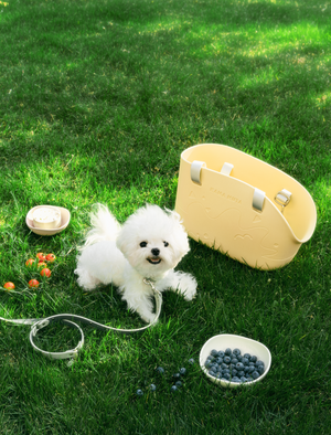 CLASSIC PET TOTE BAG