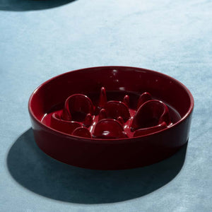 CERAMIC SLOW FEEDER DOG BOWL · BONE
