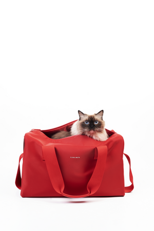 PET TRAVEL DUFFEL TOTE