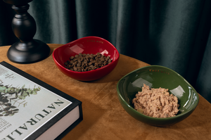 CURVED CERAMIC PET BOWL