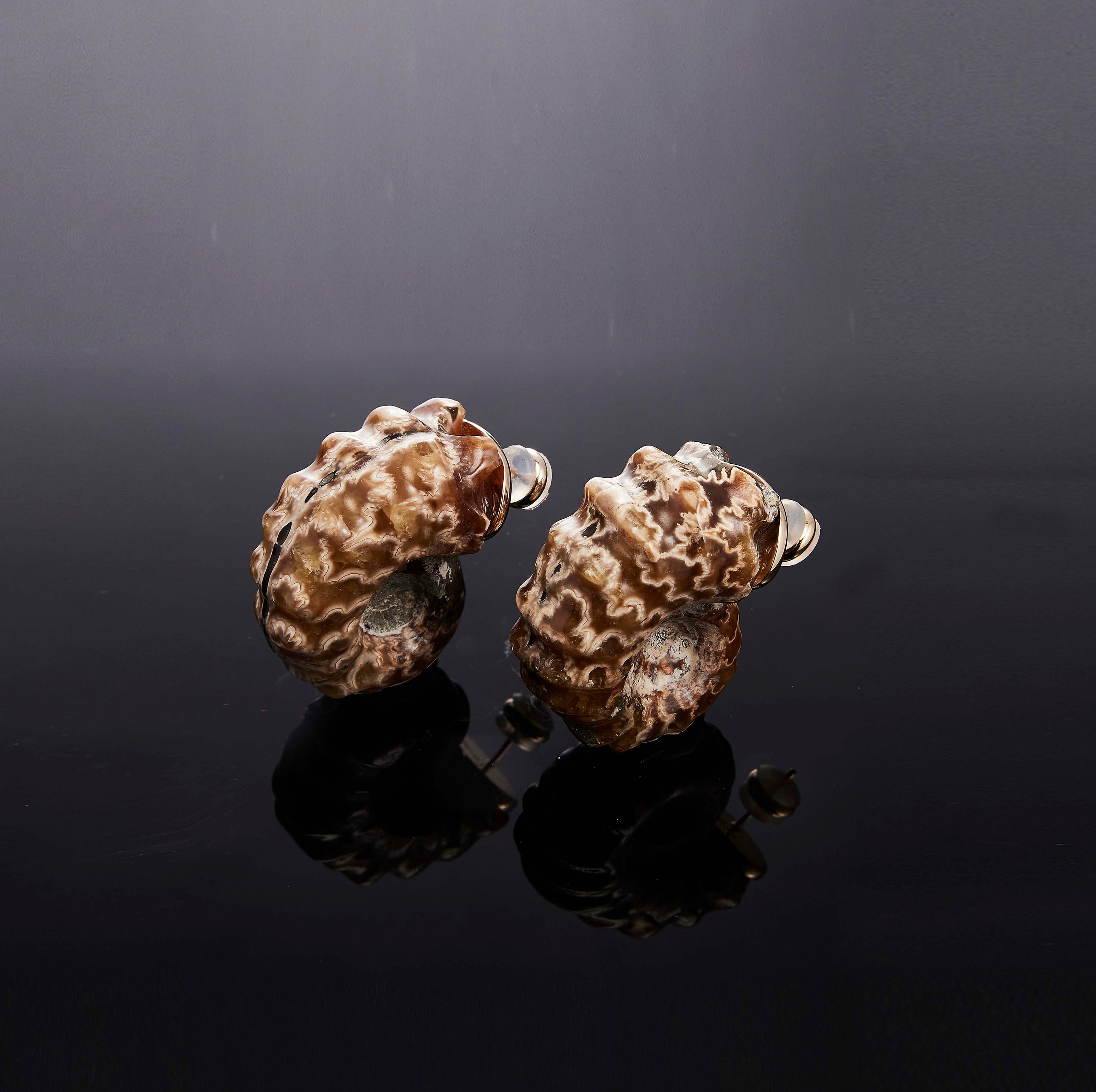 700QiBai HELIX FOSSIL AMMONITE EARRING | TROVE & TONE