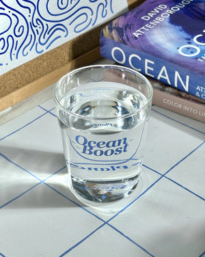 GiffyPlanet OCEAN BOOST GLASS CUP | TROVE & TONE