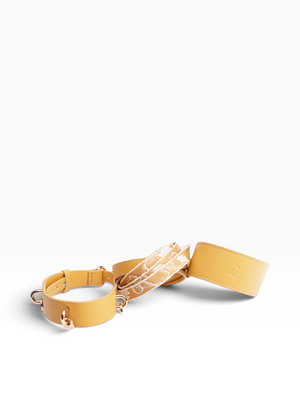 NORDIC AUTUMN LEATHER PET LEASH