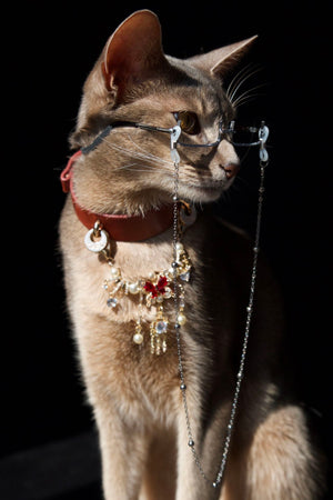 FORTUNE BUTTERFLY PET NECKLACE