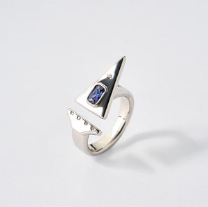 700QiBai SAGITTARIUS BIRTHSTONE ZODIAC RING | TROVE & TONE