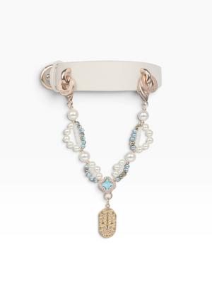 ZODIAC SIGNS PET NECKLACE