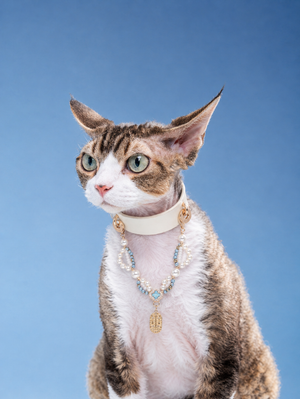 ZODIAC SIGNS PET NECKLACE