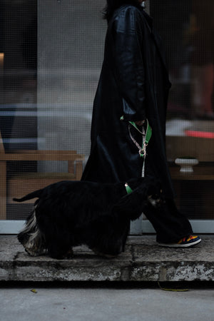 GREEN WONDERLAND LAMBSKIN PET LEASH