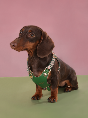 GREEN WONDERLAND LAMBSKIN PET HARNESS
