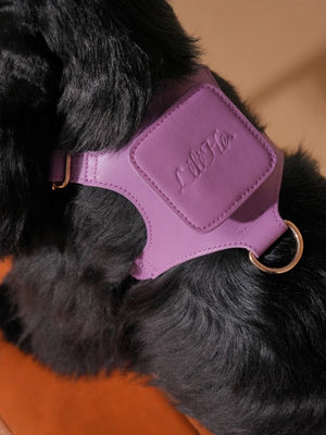 LAVANDER GLOW LEATHER PET HARNESS
