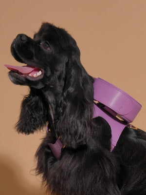 LAVANDER GLOW LEATHER PET HARNESS