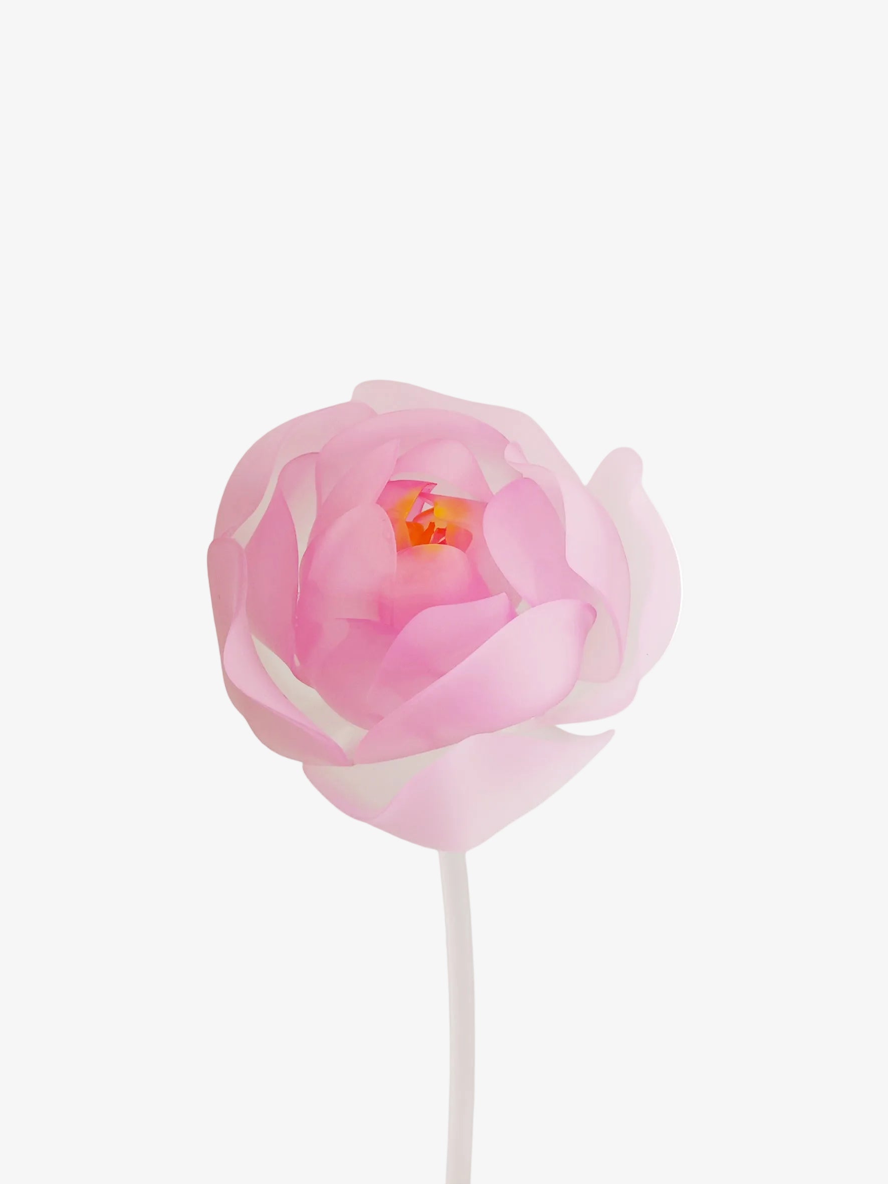 livarié flower PEONY STEM  |  TROVE & TONE