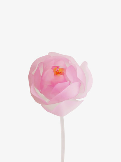 livarié flower PEONY STEM  |  TROVE & TONE