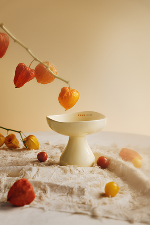PASTEL CERAMIC ELEVATED PET BOWL