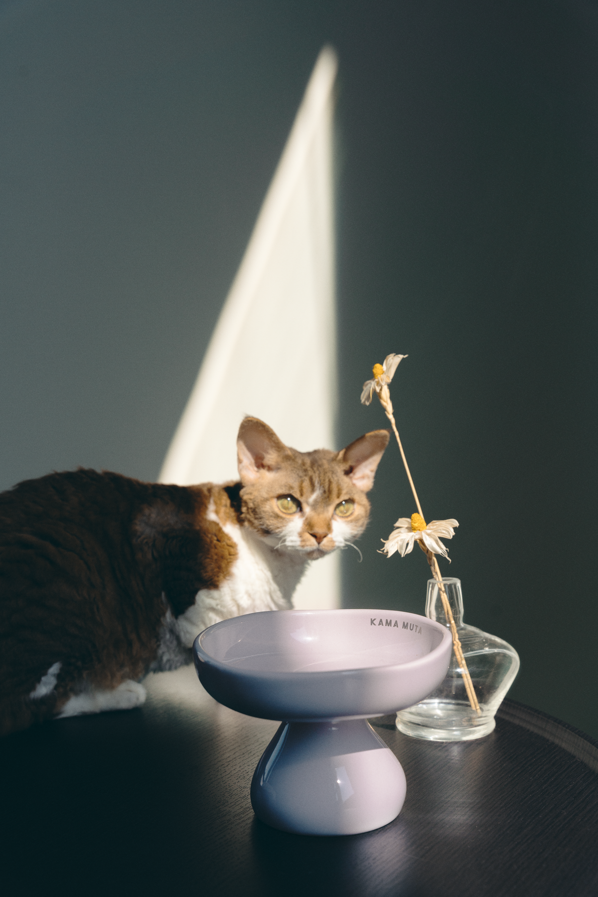 PASTEL CERAMIC ELEVATED PET BOWL
