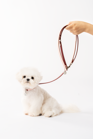 CONVERTIBLE LEATHER DOG LEASH