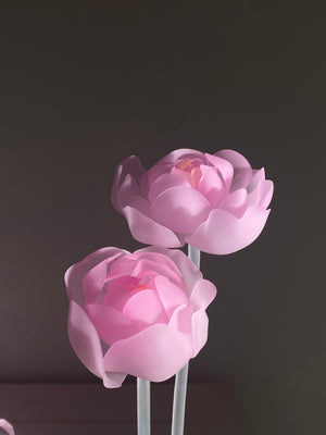 livarié flower PEONY STEM  |  TROVE & TONE