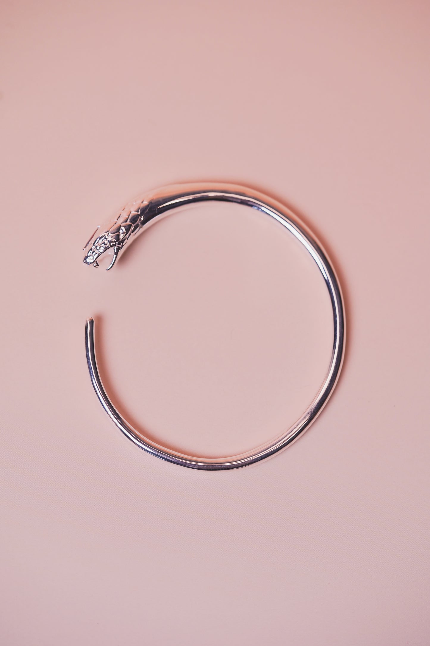 Aesth & Util SNAKE STERLING SILVER CUFF BRACELET  |  TROVE & TONE