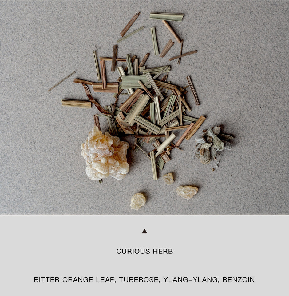 almost fever_ WAXED CANVAS LONG LASTING SCENTED HANGER（副本）（副本）  |  TROVE & TONE