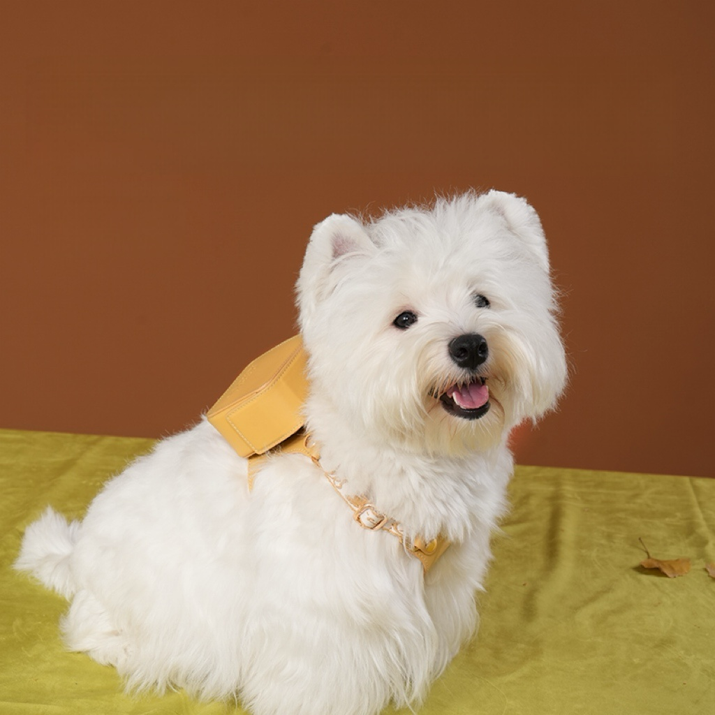 NORDIC AUTUMN LEATHER PET HARNESS
